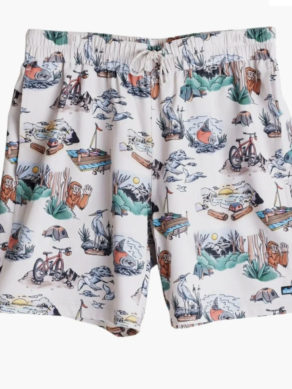 KAVU Costa Short Men's Medium Pink Scenic Print Swim Trunk Outdoor Camp